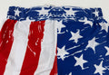 Jiu JItsu Shorts - Patriot - ButterflyX - Back