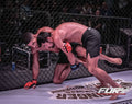 Base BJJ MMA Shorts - ButterflyX