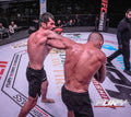 Base BJJ MMA Shorts - ButterflyX
